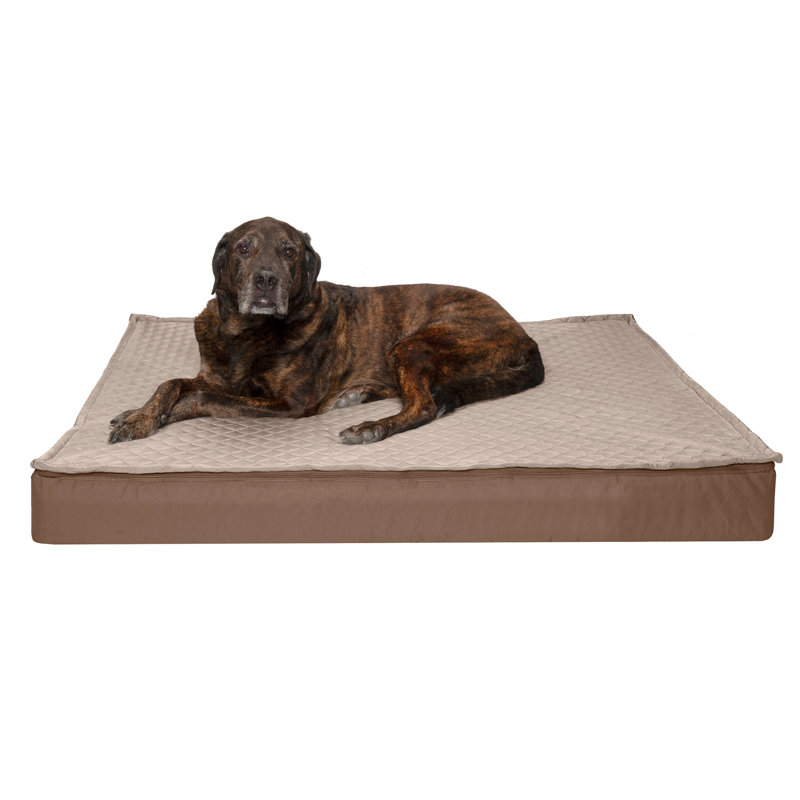 Orthopedic Polyester Pet Bed, Sand, Jumbo Plus (53" W x 40" D x 5" H)