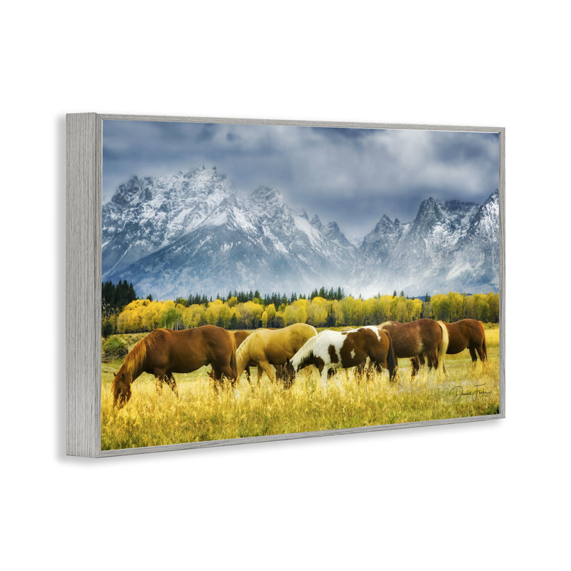 Chevaux dans la nature, estampe numérique encadrée par Dennis Frates, Estampe numérique Farmhouse, H 16 po x l 24 po