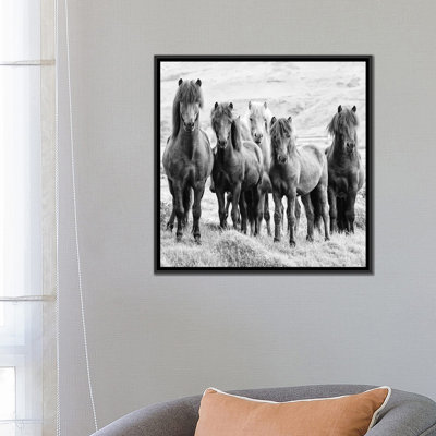 « b&w chevaux viii », reproduction de photo sur toile