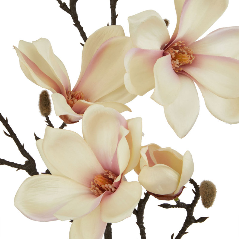 Anastasija Arrangement, Pink