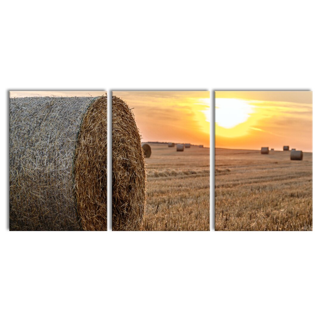 3-tlg. Leinwandbilder-Set Straw Bales on a Field