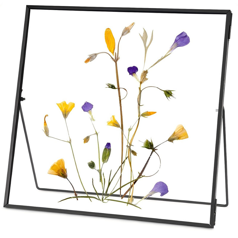 Double Glass Frame For Pressed Flowers Handmade, Tabletop Photo Frame For Floating Picture And Flower Press, Simple, Metal Geometric, Square
