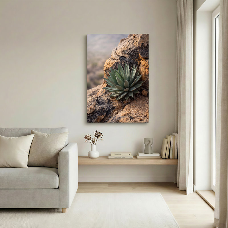«Green Agave Plant Growing On Weathered Rock Face», art mural sur toile, 24"H x 16"W