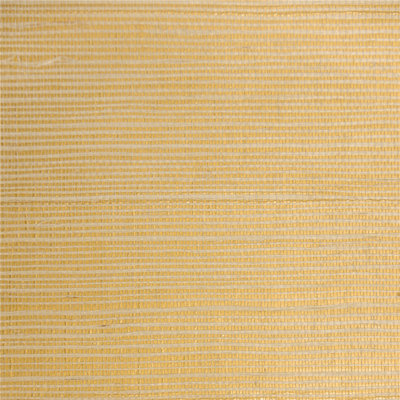 Duplantis Grass Cloth Roll