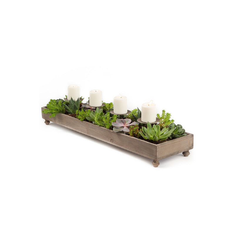 5.5'' H Metal Tabletop Dish