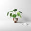 Caitlin Ceramic Pot Planter-84994630