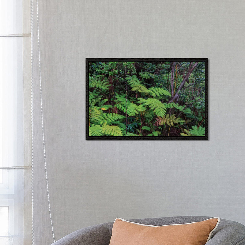 Thurston Lava Tube Trail, Hawaii Volcanoes National Park, Big Island, Hawaii 1 Piece Floater Frame Wall Art on Canvas, Black
