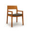 Iso Microsuede Arm Chair-51810581-61624264