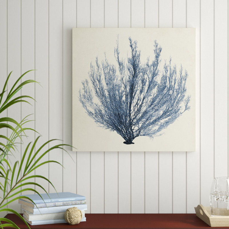 Coastal Seaweed III by Vision Studio - Wrapped Canvas Painting, 76cm H x 76cm W