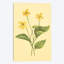 «Yellow Violet», reproduction sur toile-31850026-73206044-73206049