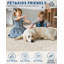 Machine Printed Area Rug-129238165-129238163