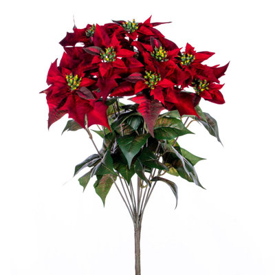 18 po poinsettia rouge et buisson de feuilles.