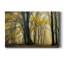 " In Love With Golden Fall "-593191458