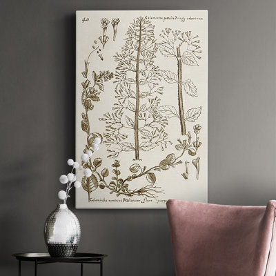 " Sepia Botanical Journal V "