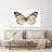 "Vintage Flutter II" by Tava Studios Print on Canvas-490108330