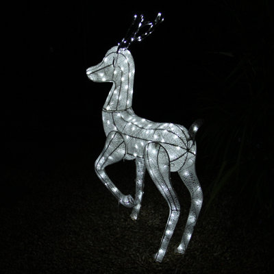 Stag