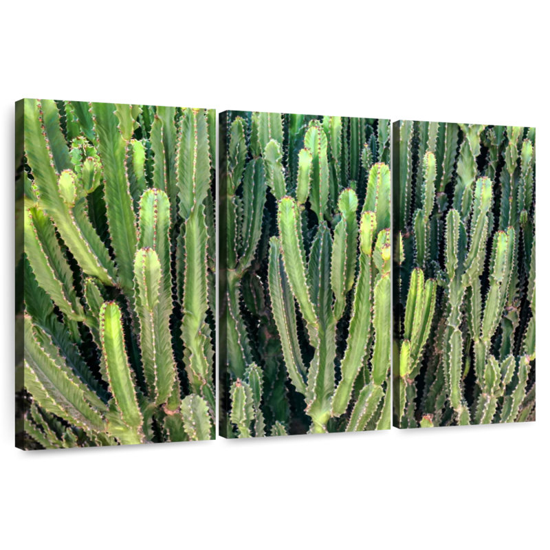 Couleurs Harnek du Pérou - Cactus, H 20 po x l 33 po