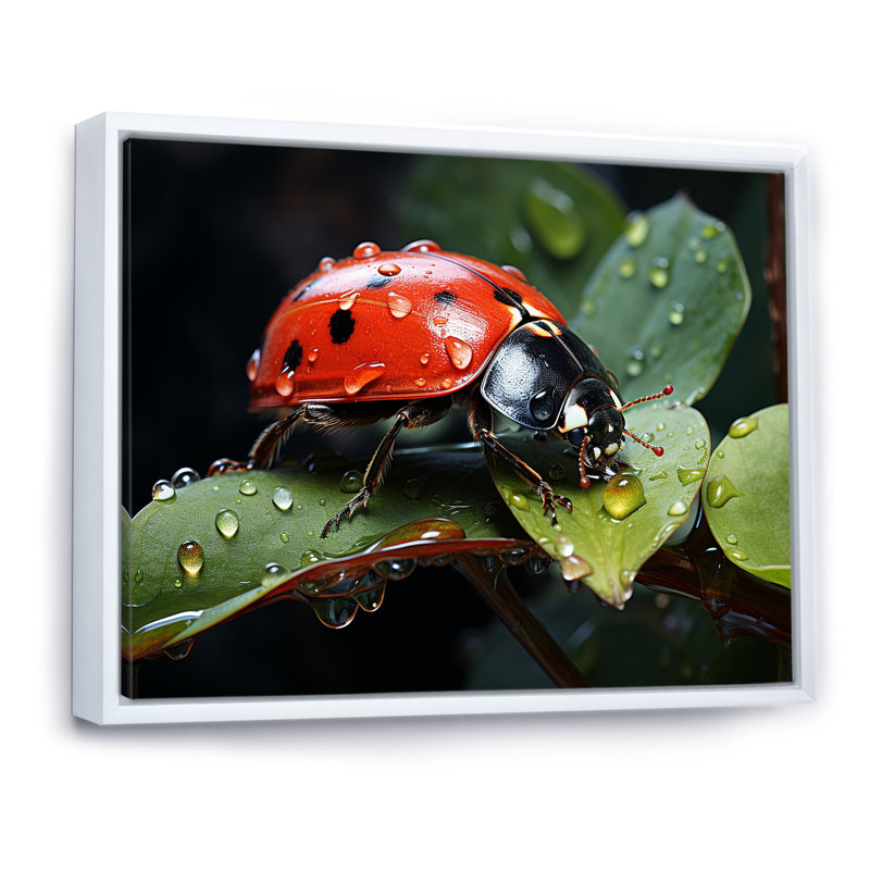 Curious Ladybug Crimson Serenity II, H 30 po x l 40 po x P 1,5 po, Cadre flottant blanc