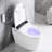Elongated Smart Toilet With Bidet, Auto Functions, Warm Seat, Side Button - Bathroom Elegance Option Water, Foot Sensor