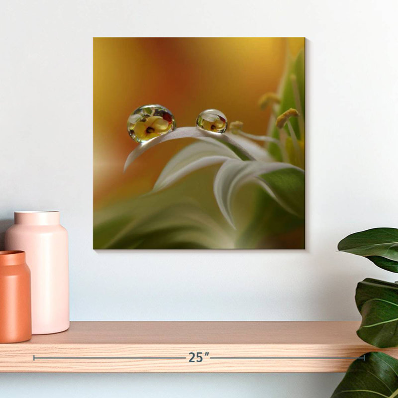 Brume de fleurs Alvord, H 16 po x l 16 po