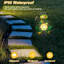 Luminaire solaire Hedaqi Frog