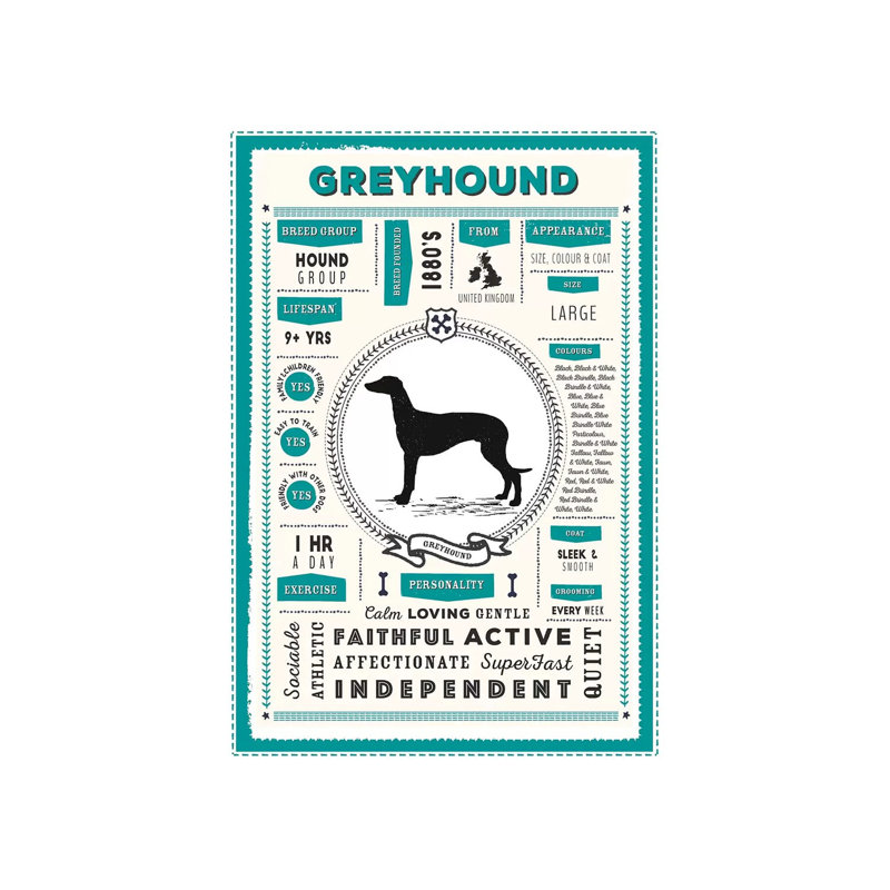 «Greyhound Infographie Blue» par PaperPaintPixels, impression sur toile tendue, H 12 po x l 8 po x P 0,75 po
