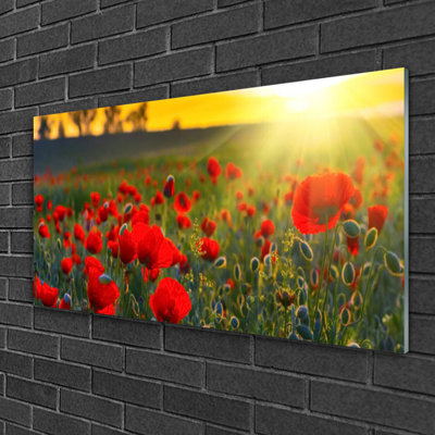 Nature Meadow Flowers - No Frame Print on Glass