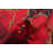 Rizbaft Red Rug 3'3" x 6'5"