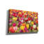 «Colorful Bouquet» par Martin Podt, art mural sur toile-1101876299