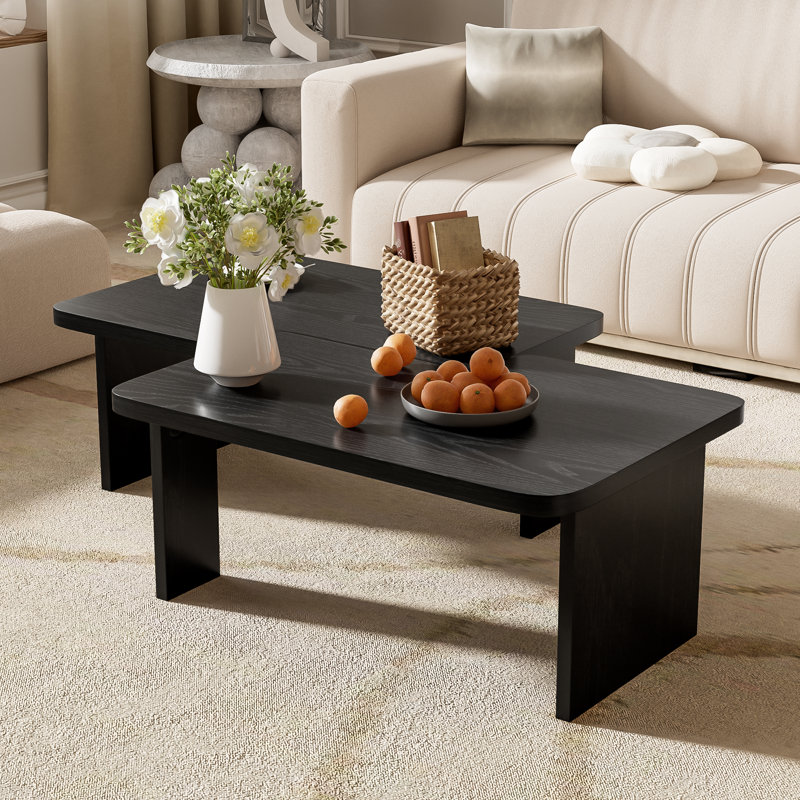 Modern Minimalist Coffee Table Set