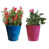 Bleu / Rose