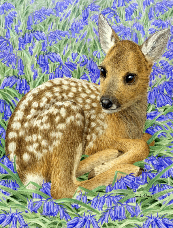 Fauve en polyester 2 côtés 40 x 28 po cerf drapeau de jardin, Grand