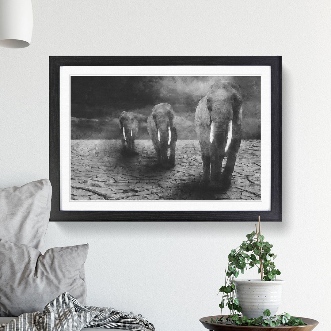 Three Elephants - Picture Frame Graphic Art