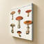 «Mushroom Chart III Light» par Wild Apple Portfolio - impression sur toile-2133147684-2133147690