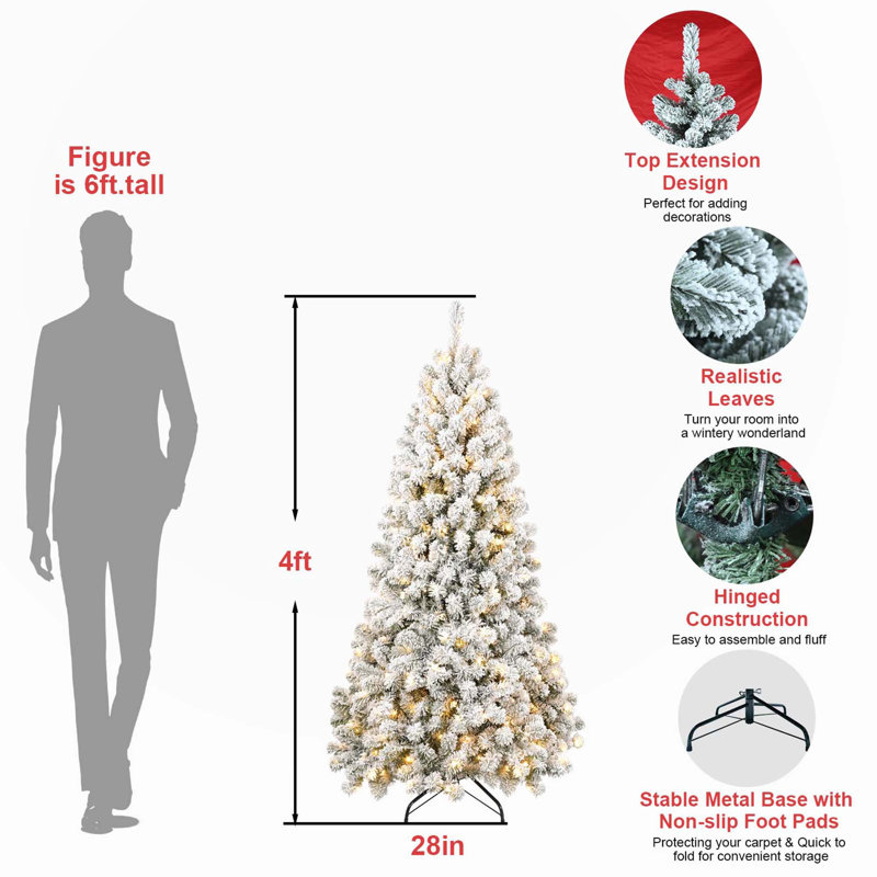 Arbres de noël, 5'