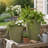Set of 2 Textured Iron Hanging Planters with Arched Handles