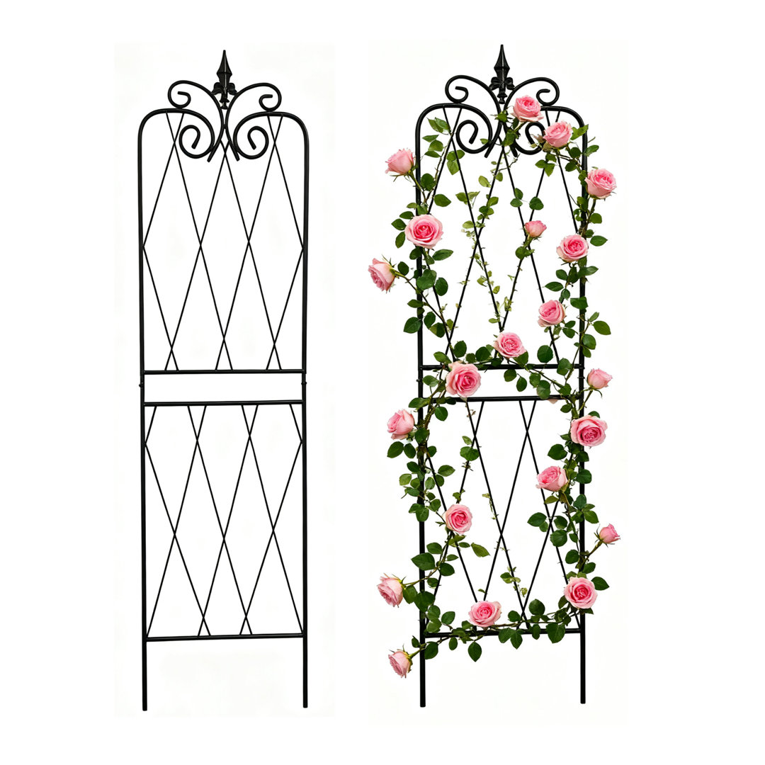 Cayley 59" H x 15" W Garden Trellis, Iron Lattice Panel for Climbing Plants Support (Set of 2) Charlton Home®