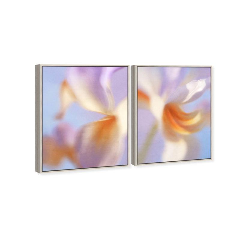 Blurred Venus Set Abstract Canvas Print by Oliver Gal, Black Frame, 16 x 20, 31"H x 37"W, Silver Floater Frame