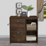 Ragan 2-Drawer Vertical Filing Cabinet