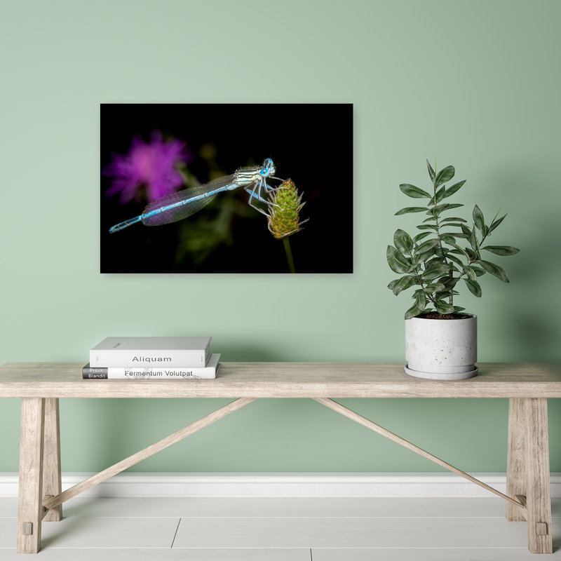 Delicate Blue Damselfly Delicate Serene Tranquil Animal Flower Wall Art Print by Eduard Andrica - Print