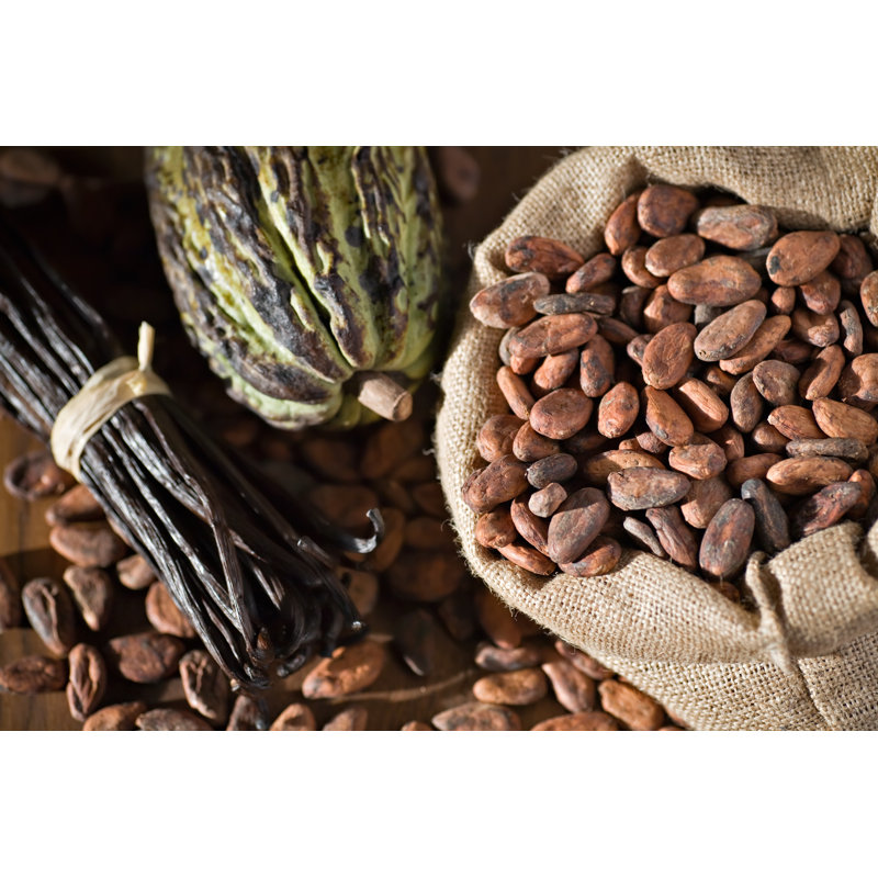 Cocoa Pod And Bean - Wrapped Canvas Print, 30cm H x 46cm W x 3.8 cm D