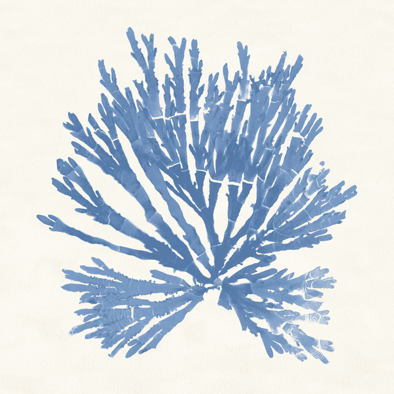 Pacific Sea Mosses II by Wild Apple Portfolio - Wrapped Canvas Painting, 30cm H x 30cm W