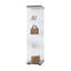 Vitrine, vitrine, armoire-1612996268