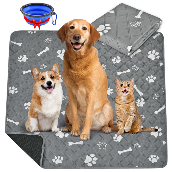 https://assets.wfcdn.com/im/28772714/resize-h600-w600%5Ecompr-r85/2327/232795708/Washable+Pee+Pads+for+Dogs%2C+Non-Slip%2C+Highly+Absorbent%2C+Reusable%2C+Waterproof+Pet+Training+Pads+for+Playpen%2C+Crate%2C+Cage.jpg