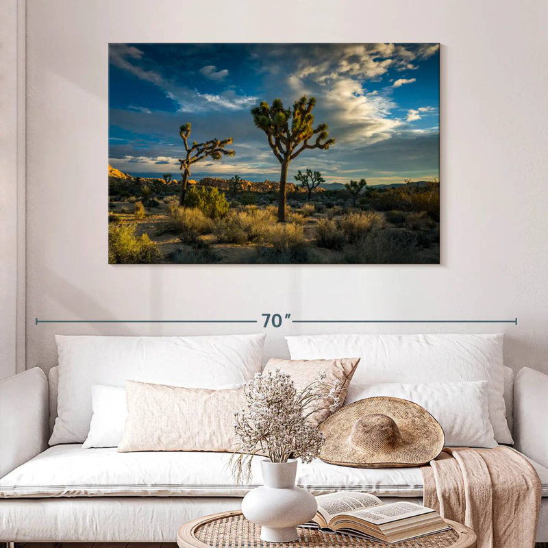 Paysage du parc national Ravi Joshua Tree, H 32 po x l 48 po