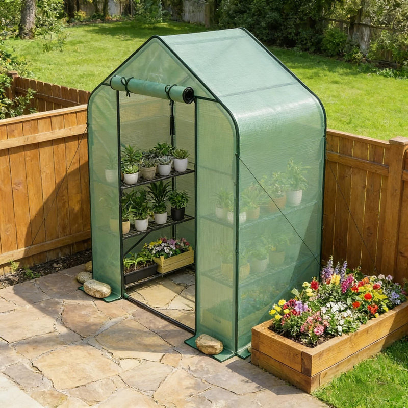 Serre de jardin, serre extérieure, serre spacieuse, Vert