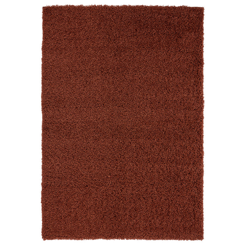 Darthy Shag Area Rug, Rectangle 66 x 120cm