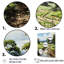 «Countryside Farm Bliss»-85693382-85693381