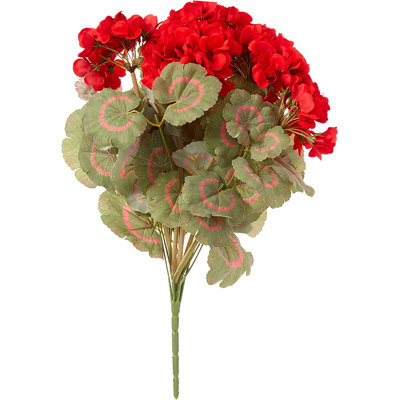 Geranium