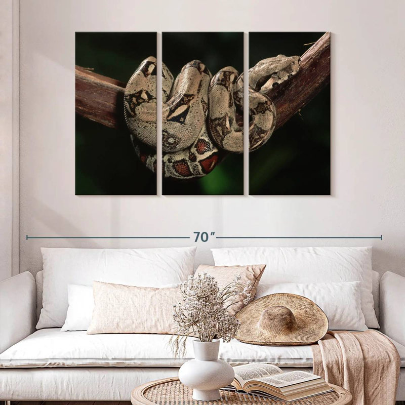 Boa Constrictor, 32" H x 50" W